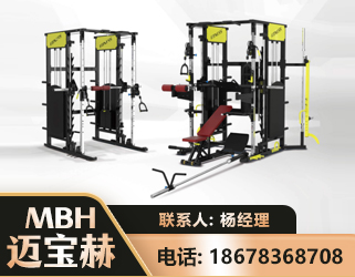 泰州多功能综合训练器