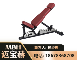 泰州可调哑铃椅