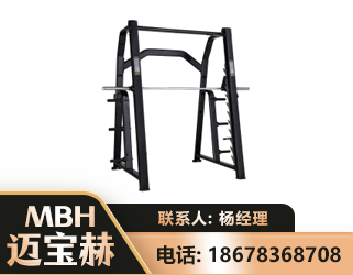 泰州史密斯机